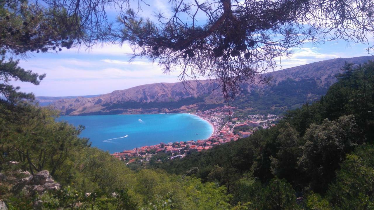 Lavender * Baska (Krk)